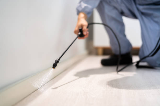 Certified termite inspector examining foundation in Cudahy
