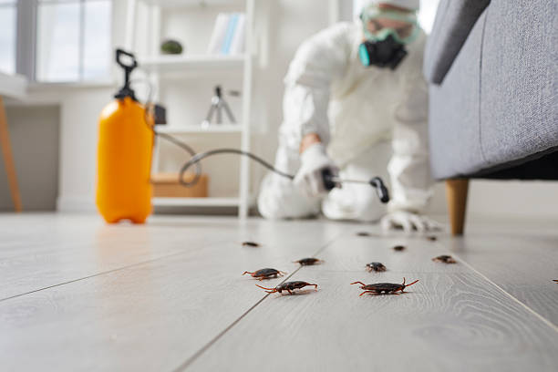 Commercial Kitchen Cockroach Control in Cudahy